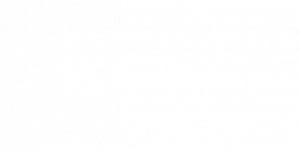 Ubersmith - First Data white logo